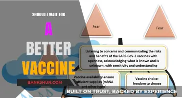 Should You Wait for a Better Vaccine? Weighing Risks and Benefits