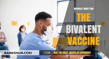 Should You Wait for the Bivalent Vaccine? Key Considerations