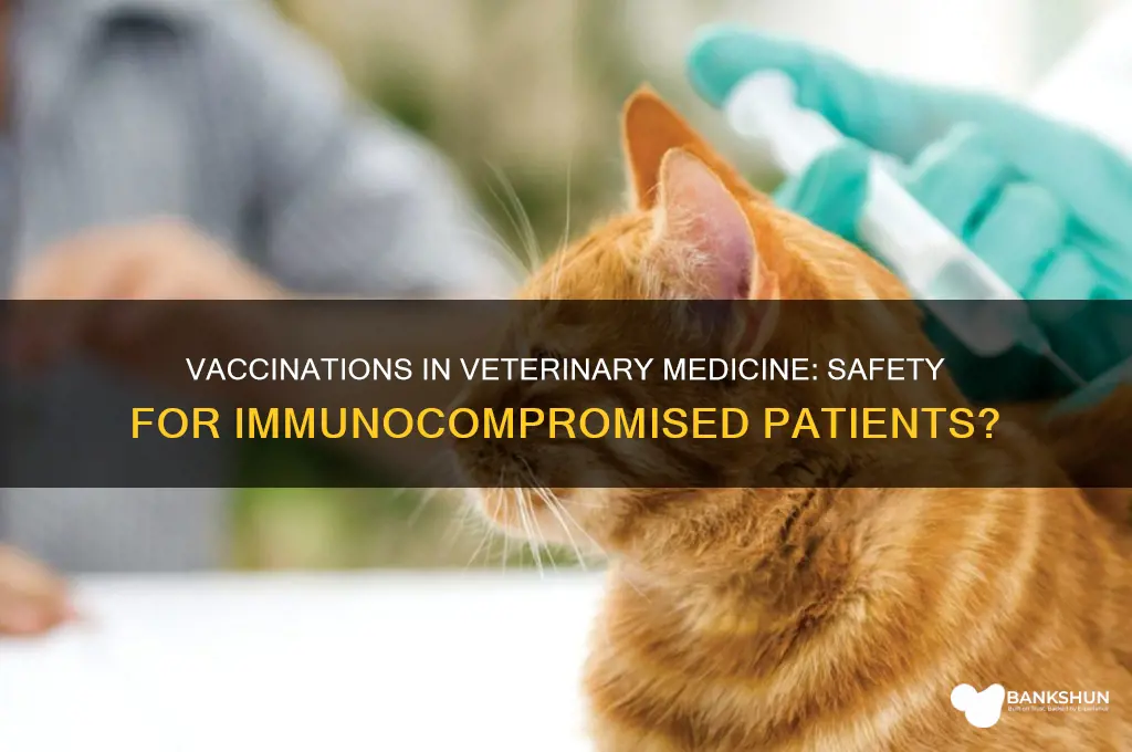 should immunocompromised patients receive vaccinations veterinary medicine