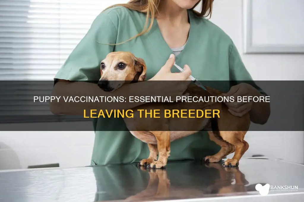 should puppies be vaccinated before leaving breeder