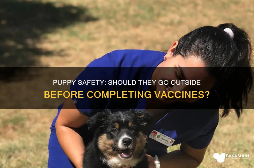 should puppues be outside befire completing vaccines