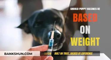 Puppy Vaccines: Should Weight Determine Their Dosage and Schedule?