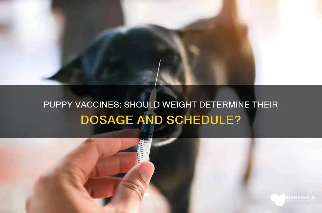 should puppy vaccines be based on weight