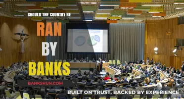 Banks in Control: Should Financial Institutions Govern Nations?