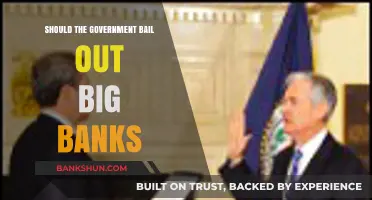 Should Taxpayers Rescue Failing Big Banks? A Critical Debate