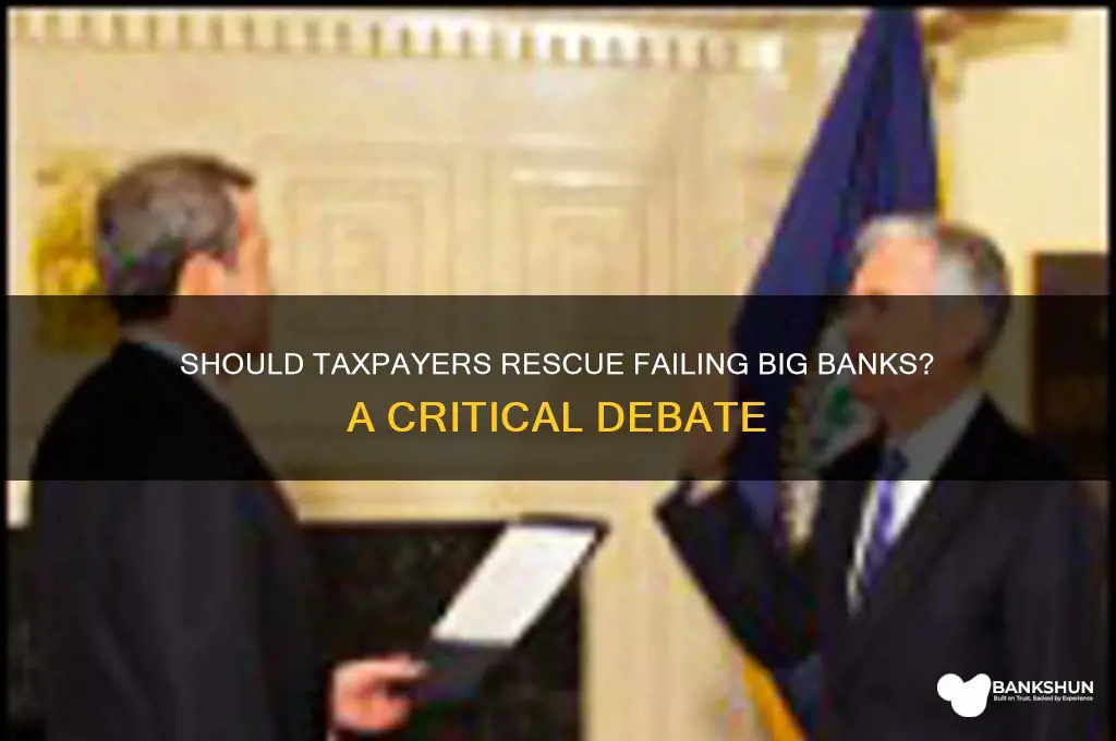should the government bail out big banks