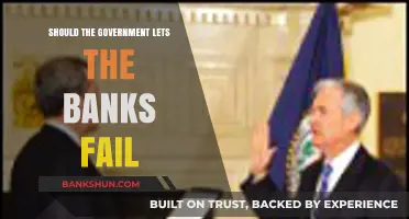 Should Governments Rescue Failing Banks? A Critical Economic Debate