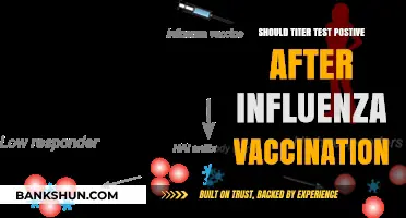 Does Influenza Vaccination Guarantee a Positive Titer Test Result?