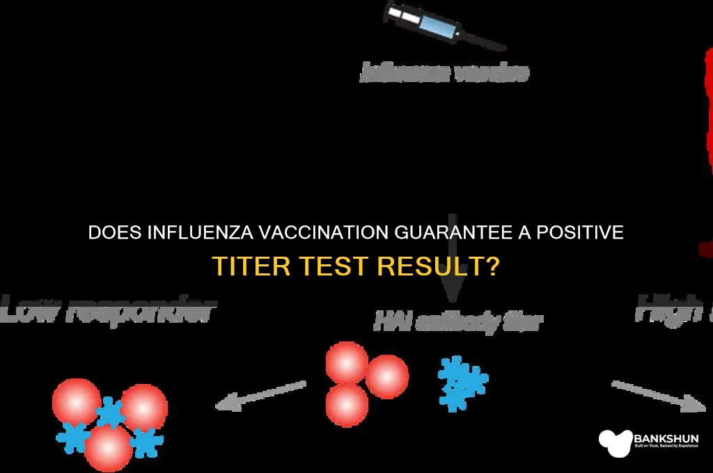 should titer test postive after influenza vaccination