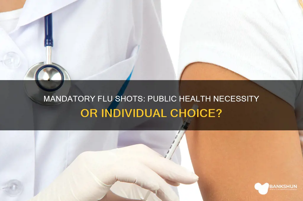 should vaccinations against influenza be made mandatory
