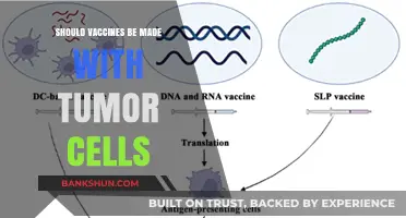 Tumor Cells in Vaccines: Ethical Concerns and Scientific Potential