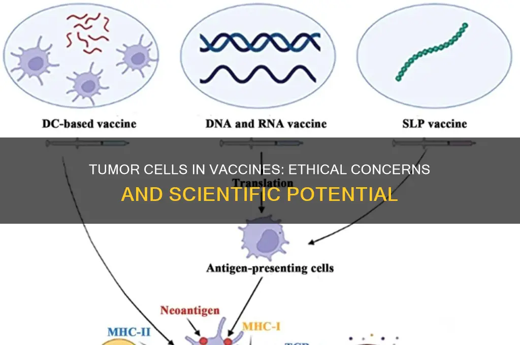should vaccines be made with tumor cells