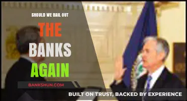Should We Bail Out Banks Again? Risks, Rewards, and Lessons Learned
