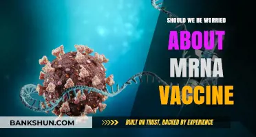 Are mRNA Vaccines Safe? Addressing Concerns and Misconceptions