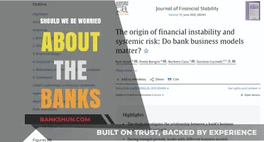 Are Banks Stable? Assessing Financial Risks and Public Concerns