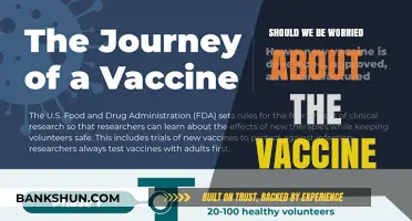 Vaccine Concerns: Separating Fact from Fiction for Informed Decisions