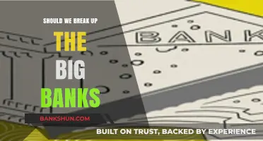 Breaking Up Big Banks: Pros, Cons, and Economic Implications