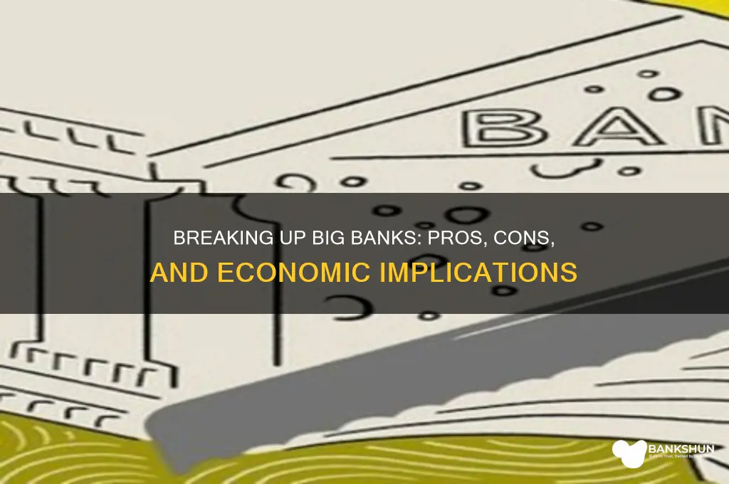 should we break up the big banks