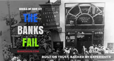 Should We Have Let the Banks Fail? A Critical Analysis