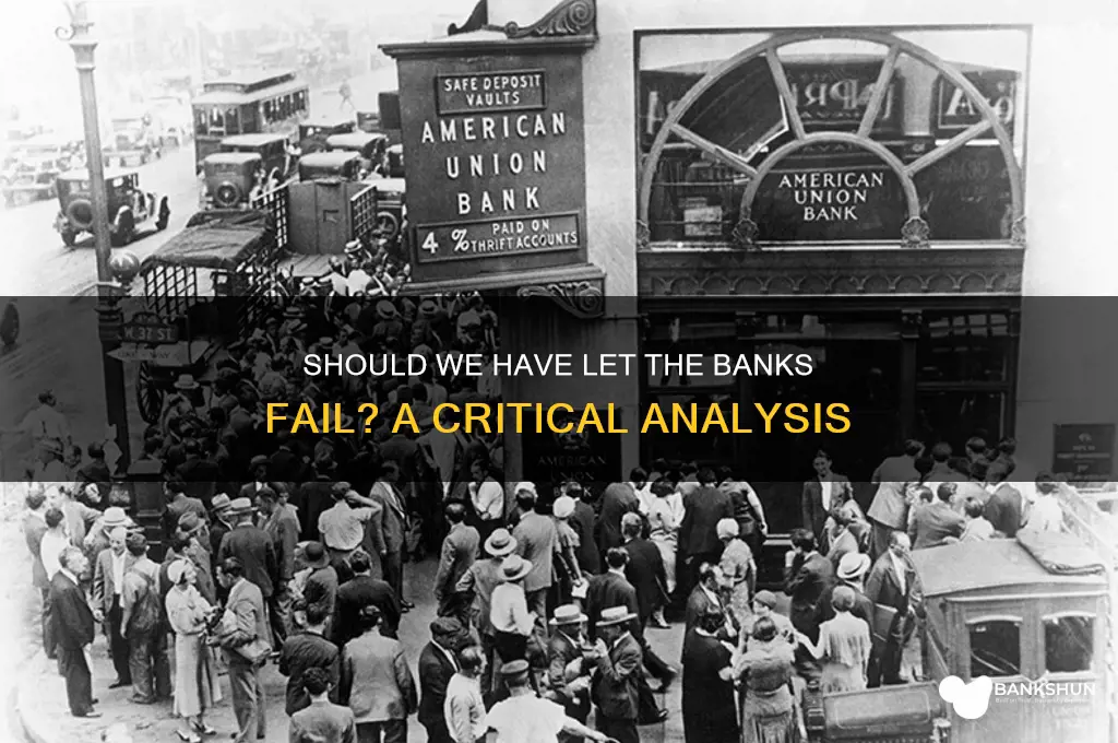 should we have let the banks fail