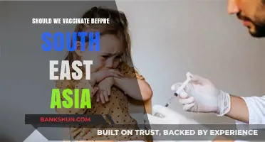 Vaccinating Before Southeast Asia Travel: Essential Health Precautions Explained