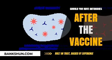 Vaccine Antibodies: Understanding Post-Vaccination Immunity and Protection Levels