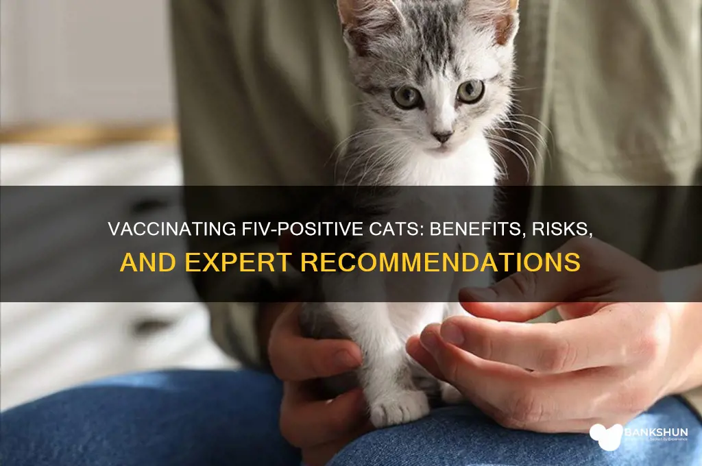 should you vaccinate an fiv positive cat
