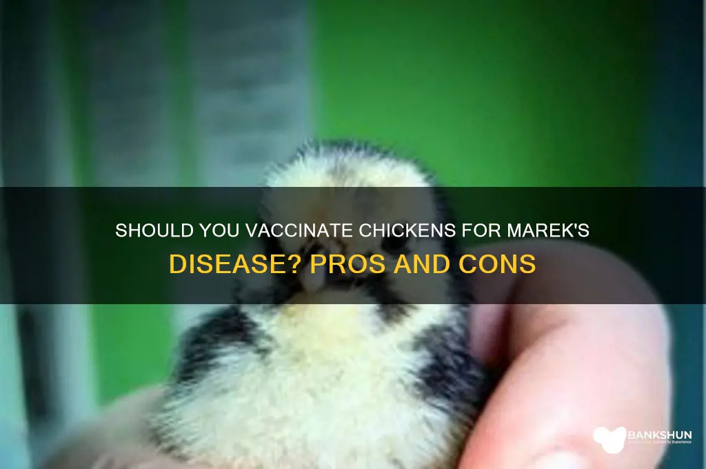 should you vaccinate chickens for marek