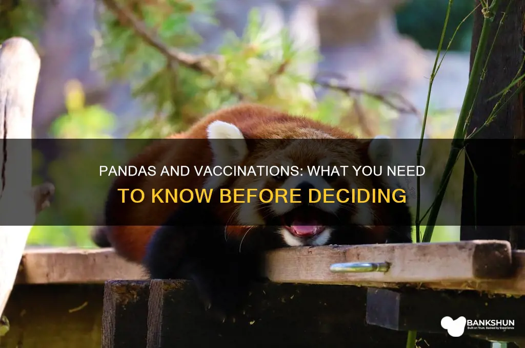 should you vaccinate if you have pandas