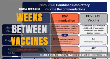 Timing Your Vaccines: Is a Two-Week Gap Necessary?