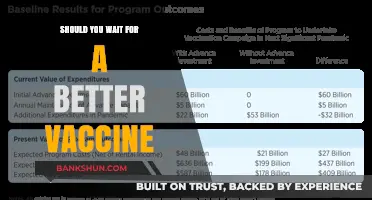 Should You Wait for a Better Vaccine? Weighing Risks and Benefits