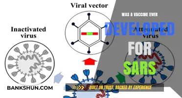 SARS Vaccine Development: The Untold Story of Scientific Efforts