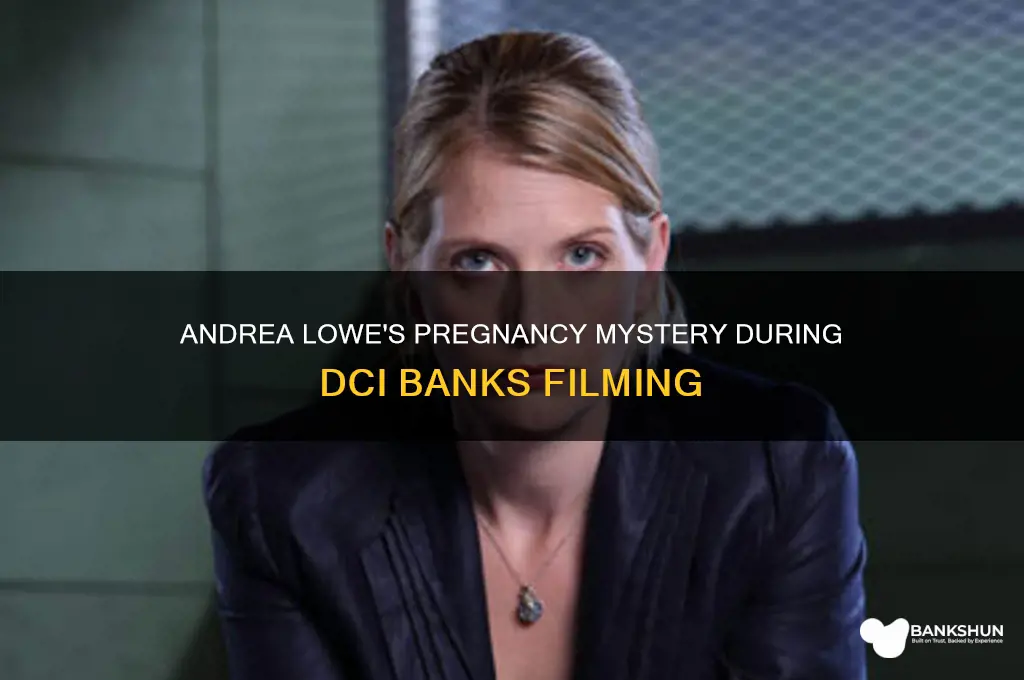 was andrea lowe pregnant during dci banks