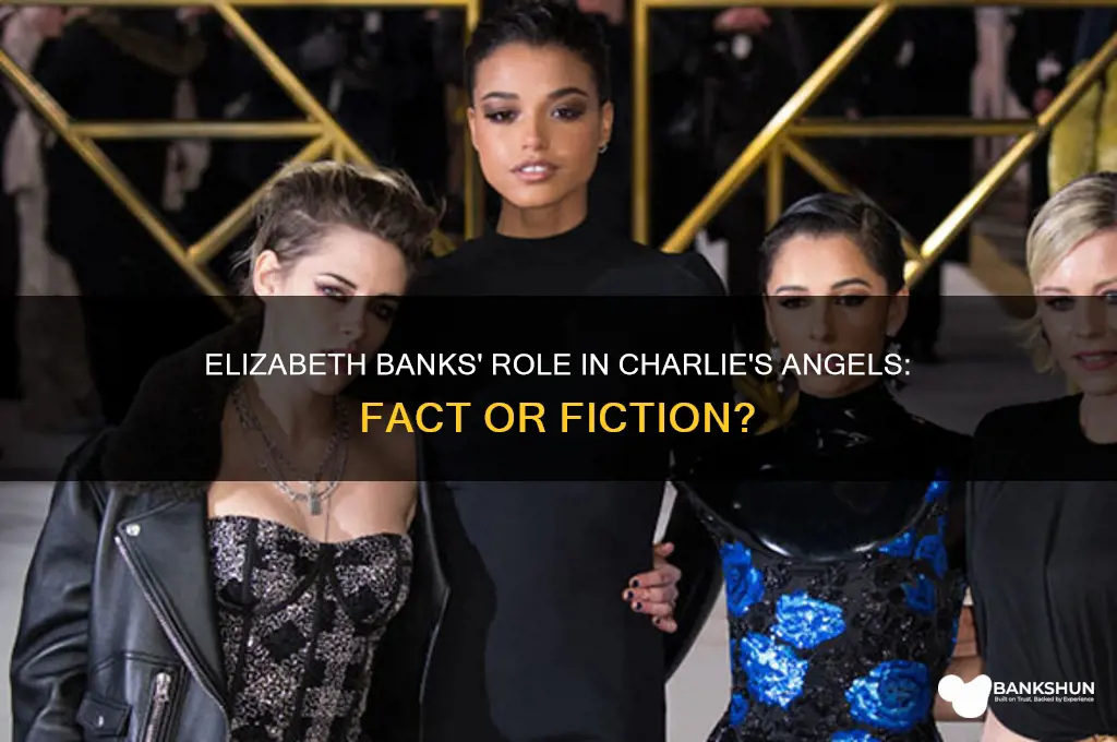 was elizabeth banks in charlie