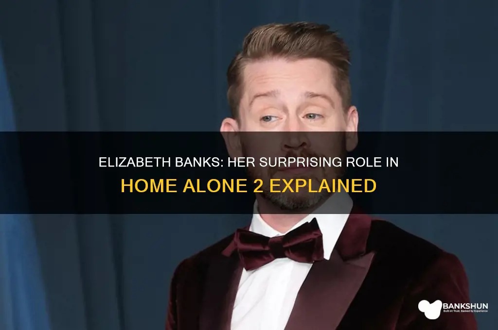 was elizabeth banks in home alone 2