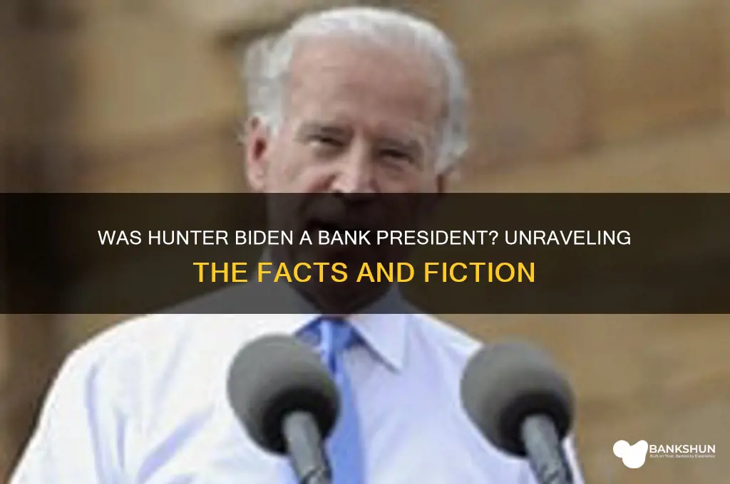 was hunter biden president of a bank