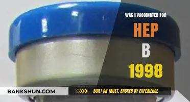 Did I Receive the Hepatitis B Vaccine in 1998?