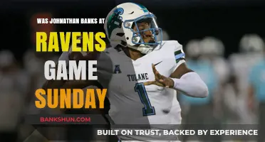Jonathan Banks Spotted at Ravens Game Sunday: Fact or Fiction?