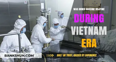 MMR Vaccine Routine: Vietnam Era Military Health Practices Explored