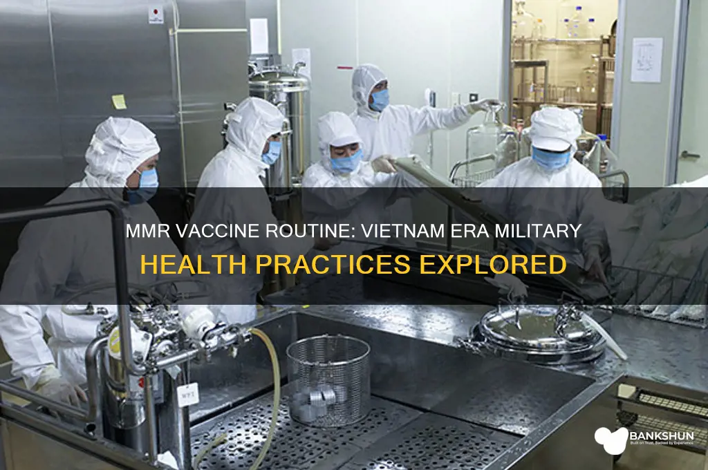 was mmr vaccine rojtine during vietnam era