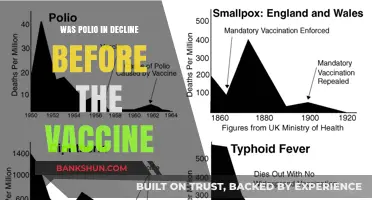 Polio's Decline: Was the Vaccine the Sole Turning Point?