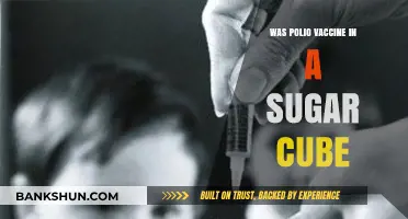 Polio Vaccine in Sugar Cubes: A Sweet Solution to Eradication