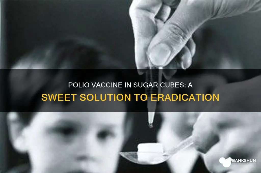 was polio vaccine in a sugar cube