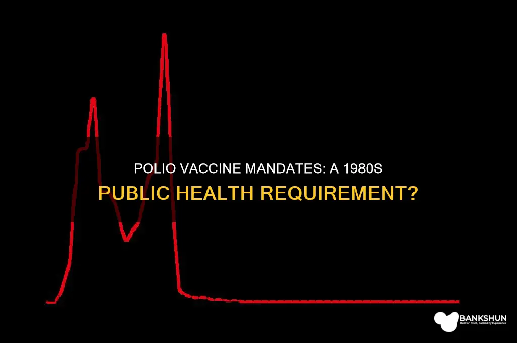was polio vaccine mandatory in the 1980s