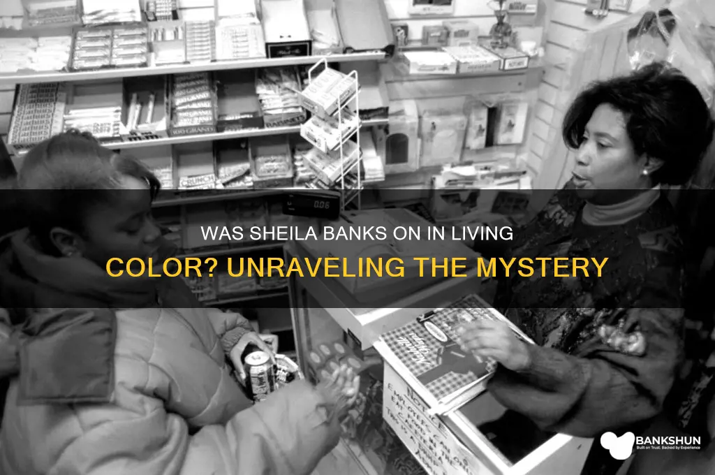 was shelia banks on in living color