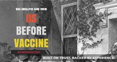 Did Smallpox Disappear Naturally Before the Vaccine's Arrival?