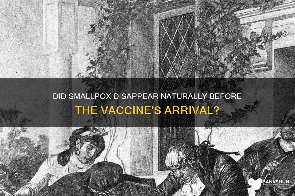 was smallpox gone from us before vaccine