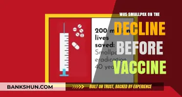 Smallpox Decline: Was the Vaccine the Turning Point or Coincidence?