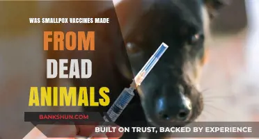 Smallpox Vaccines: The Role of Animal Tissue in Their Development