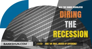 Bank Regulation During the Recession: Lessons Learned and Reforms